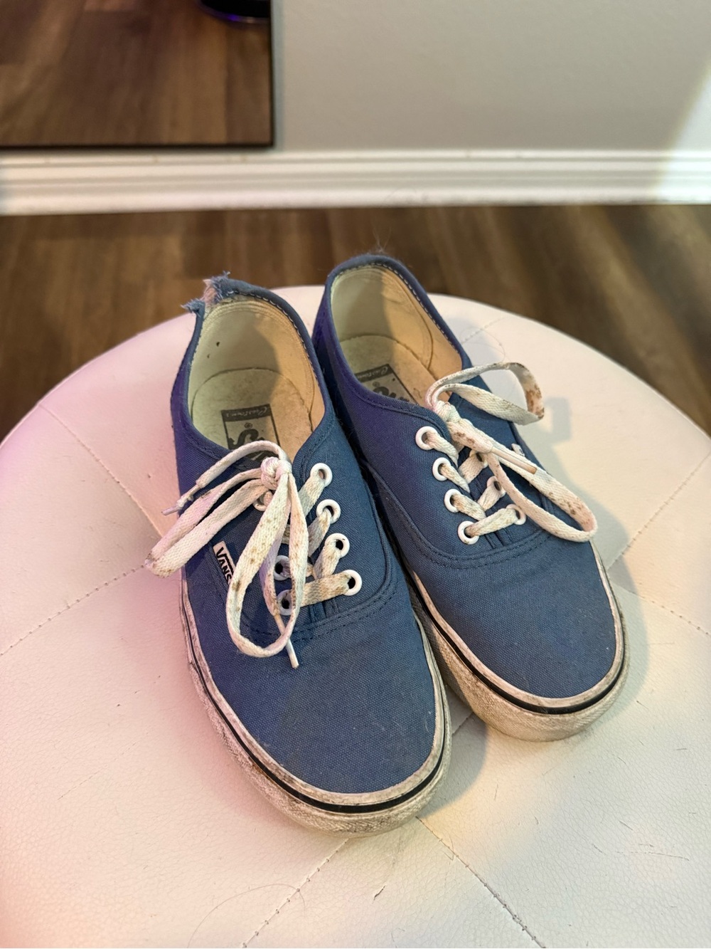 Vans Blue Canvas Low-Top Sneakers